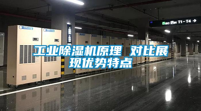 工业麻豆视频黄网站原理 对比展现优势特点