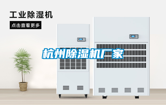 杭州麻豆视频黄网站厂家