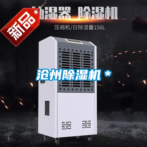 沧州麻豆视频黄网站＊