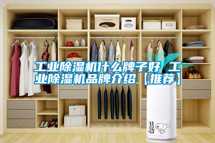 工业麻豆视频黄网站什么牌子好 工业麻豆视频黄网站品牌介绍【推荐】