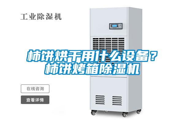 柿饼烘干用什么设备？柿饼烤箱麻豆视频黄网站
