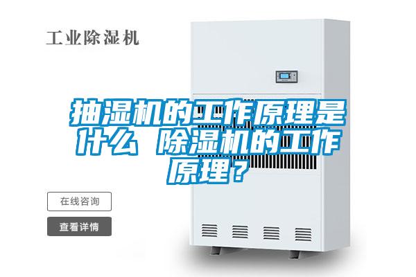 抽湿机的工作原理是什么 麻豆视频黄网站的工作原理？