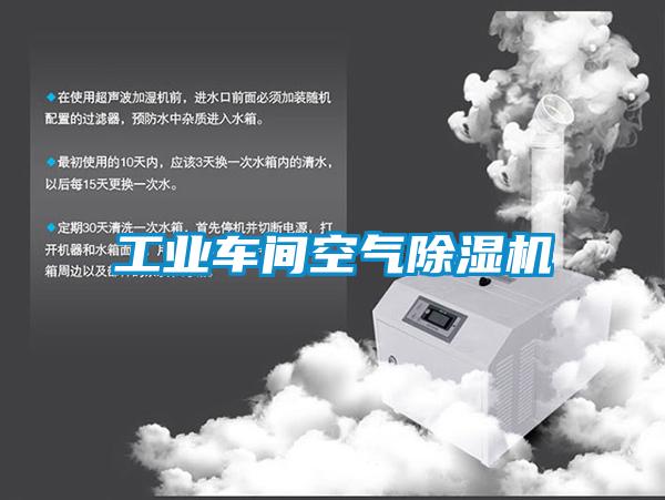 工业车间空气麻豆视频黄网站