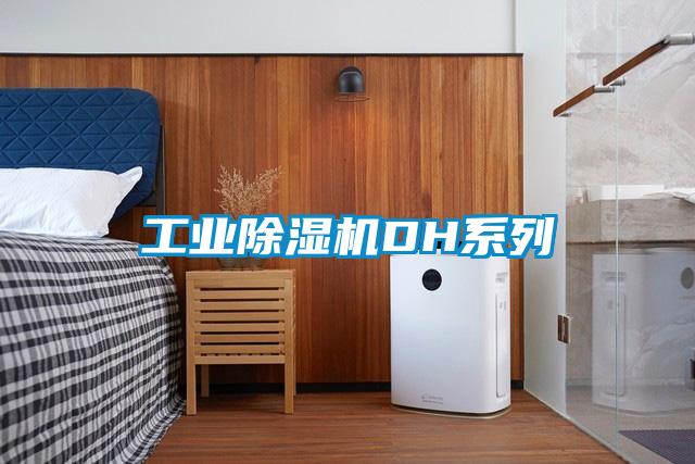 工业麻豆视频黄网站DH系列