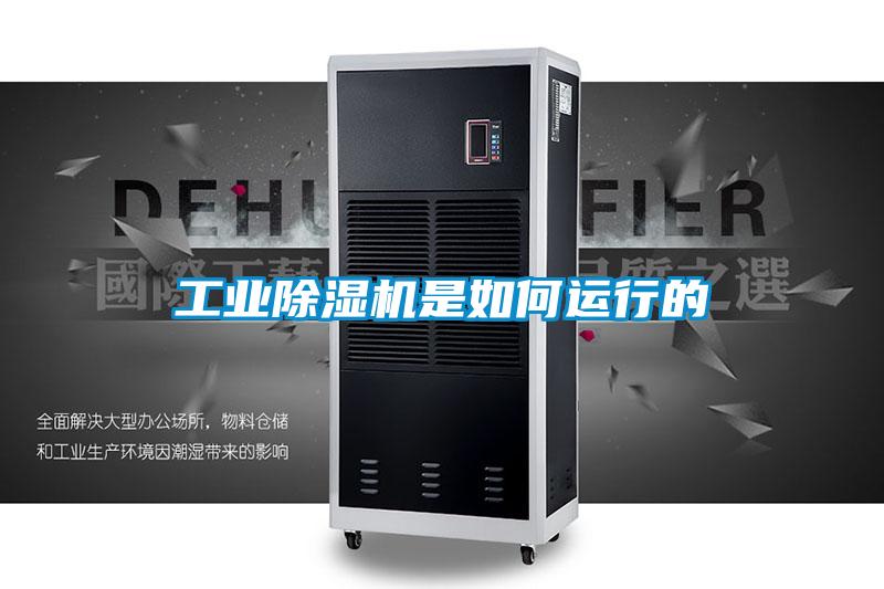 工业麻豆视频黄网站是如何运行的