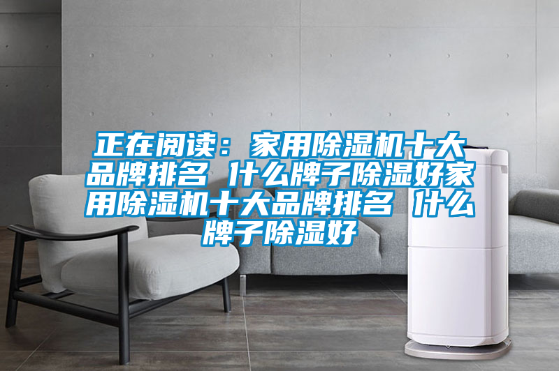 正在阅读：家用麻豆视频黄网站十大品牌排名 什么牌子除湿好家用麻豆视频黄网站十大品牌排名 什么牌子除湿好