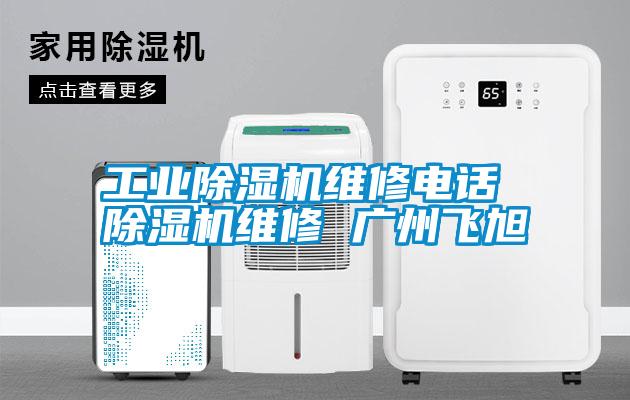 工业麻豆视频黄网站维修电话 麻豆视频黄网站维修 广州飞旭