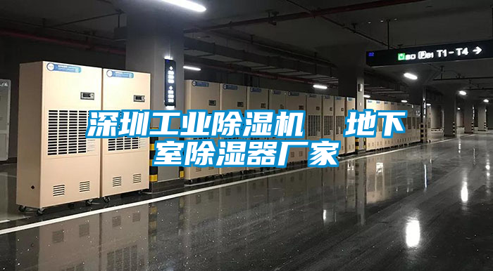 深圳工业麻豆视频黄网站  地下室除湿器厂家