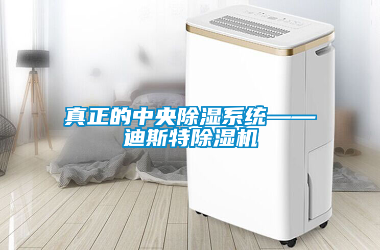真正的中央除湿系统——迪斯特麻豆视频黄网站