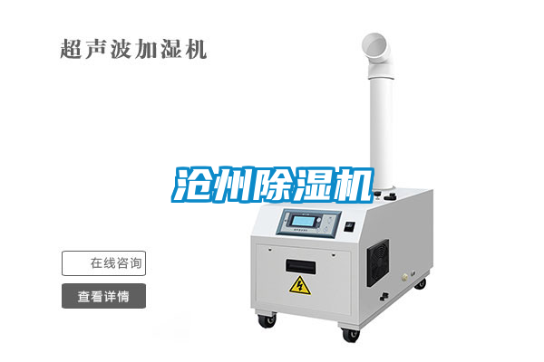 沧州麻豆视频黄网站
