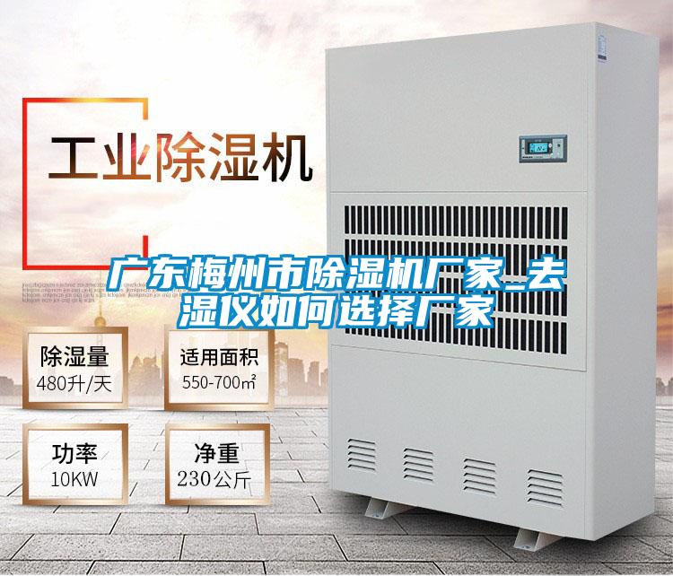 广东梅州市麻豆视频黄网站厂家_去湿仪如何选择厂家