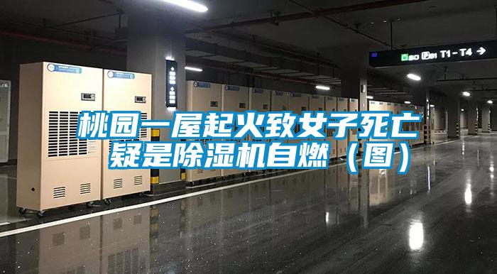 桃园一屋起火致女子死亡 疑是麻豆视频黄网站自燃（图）