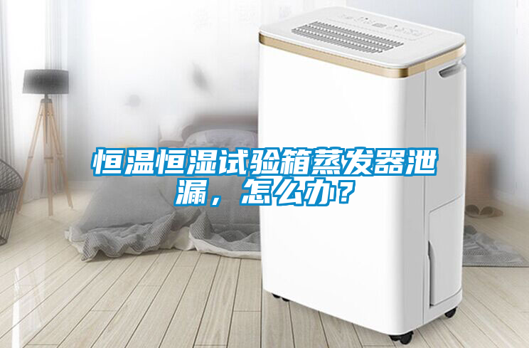 恒温恒湿试验箱蒸发器泄漏，怎么办？