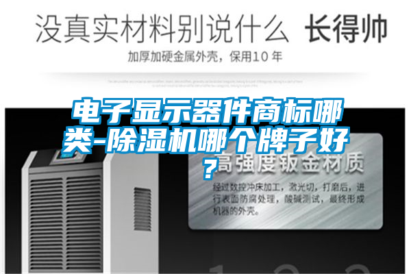 电子显示器件商标哪类-麻豆视频黄网站哪个牌子好？