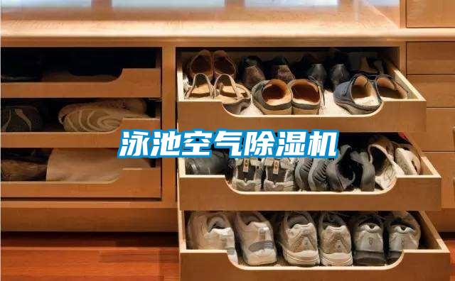 泳池空气麻豆视频黄网站
