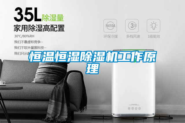 恒温恒湿麻豆视频黄网站工作原理