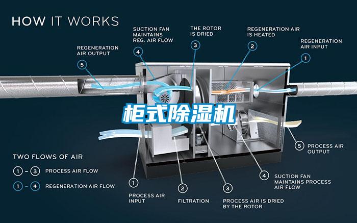 柜式麻豆视频黄网站
