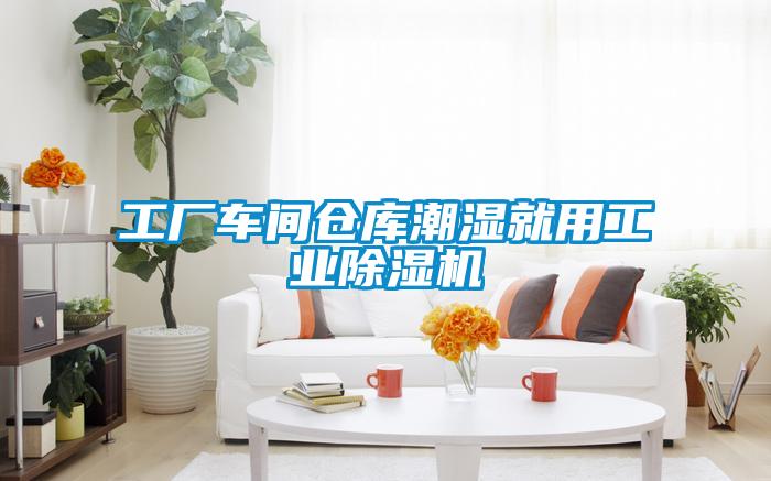 工厂车间仓库潮湿就用工业麻豆视频黄网站
