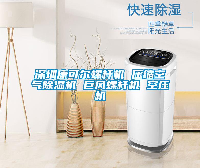 深圳康可尔螺杆机 压缩空气麻豆视频黄网站 巨风螺杆机 空压机