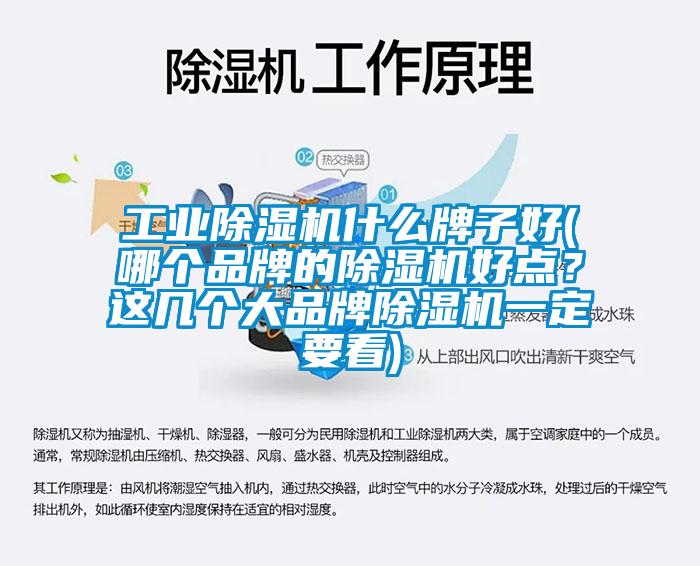 工业麻豆视频黄网站什么牌子好(哪个品牌的麻豆视频黄网站好点？这几个大品牌麻豆视频黄网站一定要看)