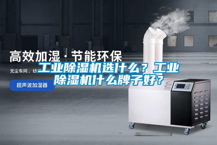 工业麻豆视频黄网站选什么？工业麻豆视频黄网站什么牌子好？