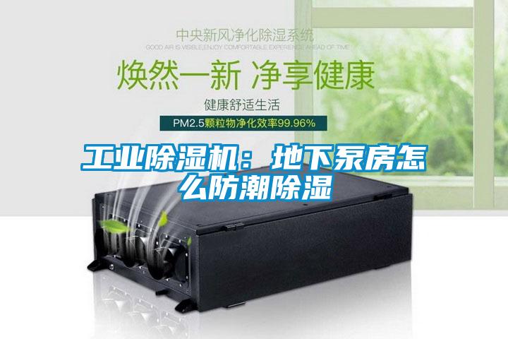 工业麻豆视频黄网站：地下泵房怎么防潮除湿