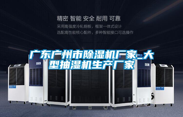 广东广州市麻豆视频黄网站厂家_大型抽湿机生产厂家