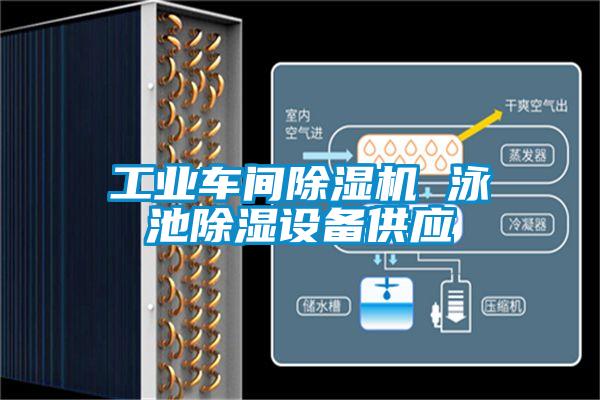 工业车间麻豆视频黄网站 泳池除湿设备供应