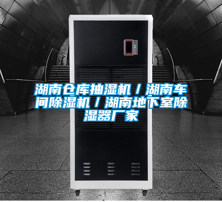 湖南仓库抽湿机／湖南车间麻豆视频黄网站／湖南地下室除湿器厂家