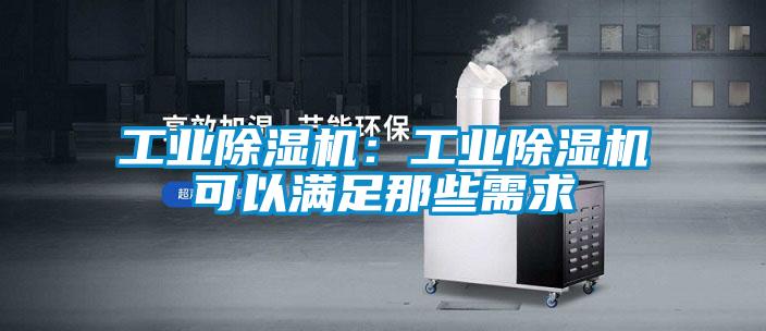 工业麻豆视频黄网站：工业麻豆视频黄网站可以满足那些需求