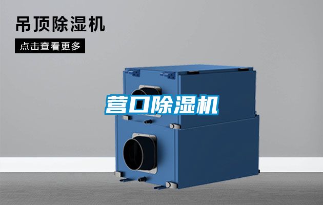 营口麻豆视频黄网站