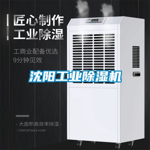 沈阳工业麻豆视频黄网站