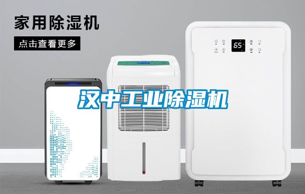 汉中工业麻豆视频黄网站