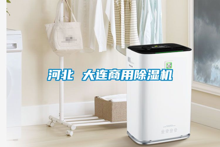 河北 大连商用麻豆视频黄网站