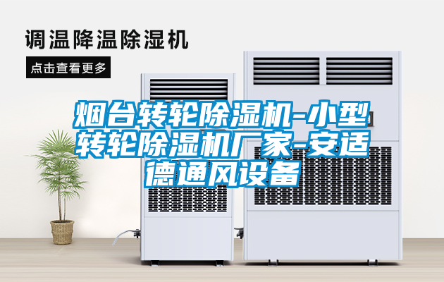 烟台转轮麻豆视频黄网站-小型转轮麻豆视频黄网站厂家-安适德通风设备