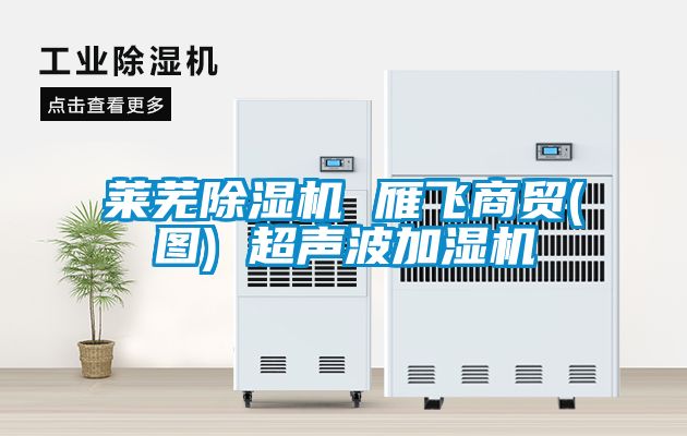 莱芜麻豆视频黄网站 雁飞商贸(图) 超声波加湿机