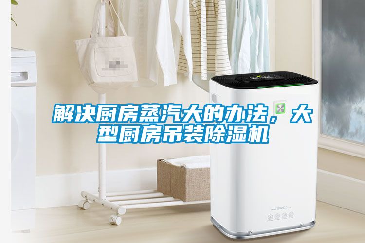 解决厨房蒸汽大的办法，大型厨房吊装麻豆视频黄网站