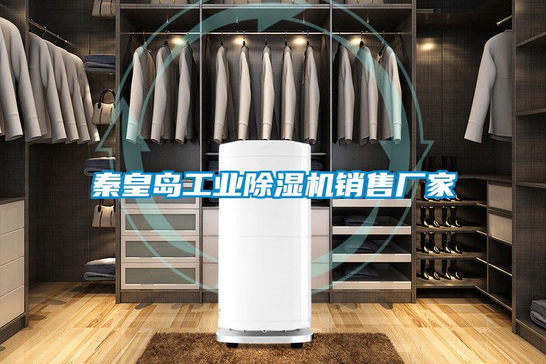 秦皇岛工业麻豆视频黄网站销售厂家