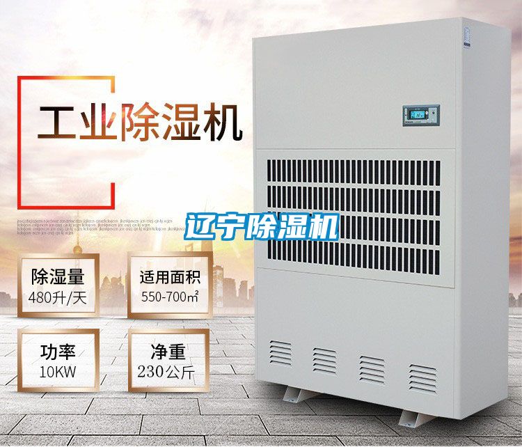 辽宁麻豆视频黄网站