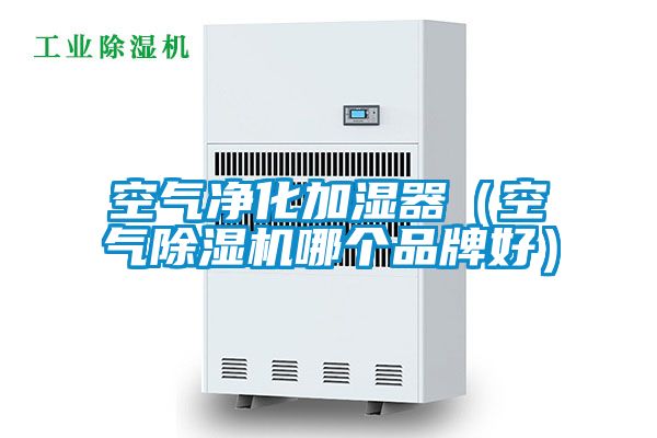空气净化加湿器（空气麻豆视频黄网站哪个品牌好）