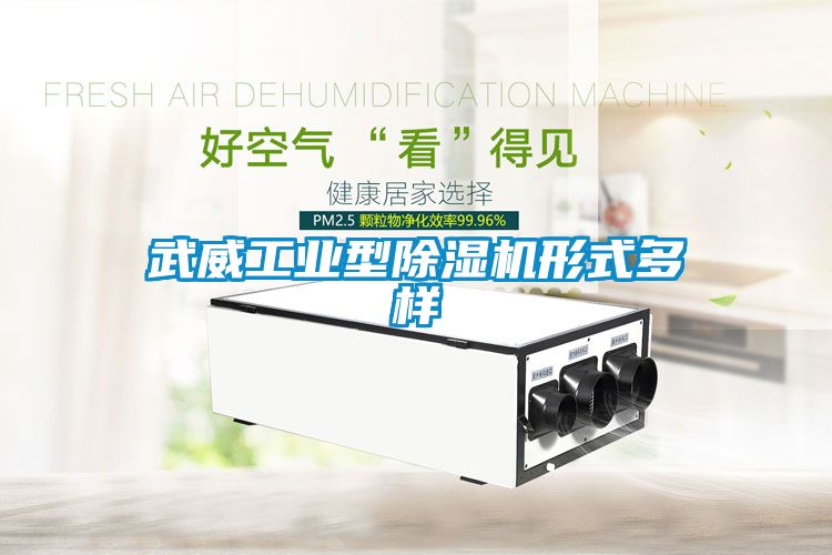 武威工业型麻豆视频黄网站形式多样