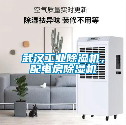 武汉工业麻豆视频黄网站，配电房麻豆视频黄网站