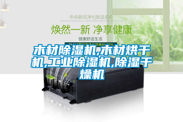 木材麻豆视频黄网站,木材烘干机,工业麻豆视频黄网站,除湿干燥机