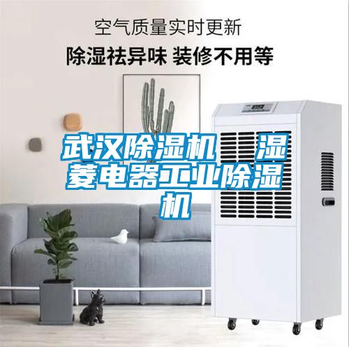 武汉麻豆视频黄网站  湿菱电器工业麻豆视频黄网站