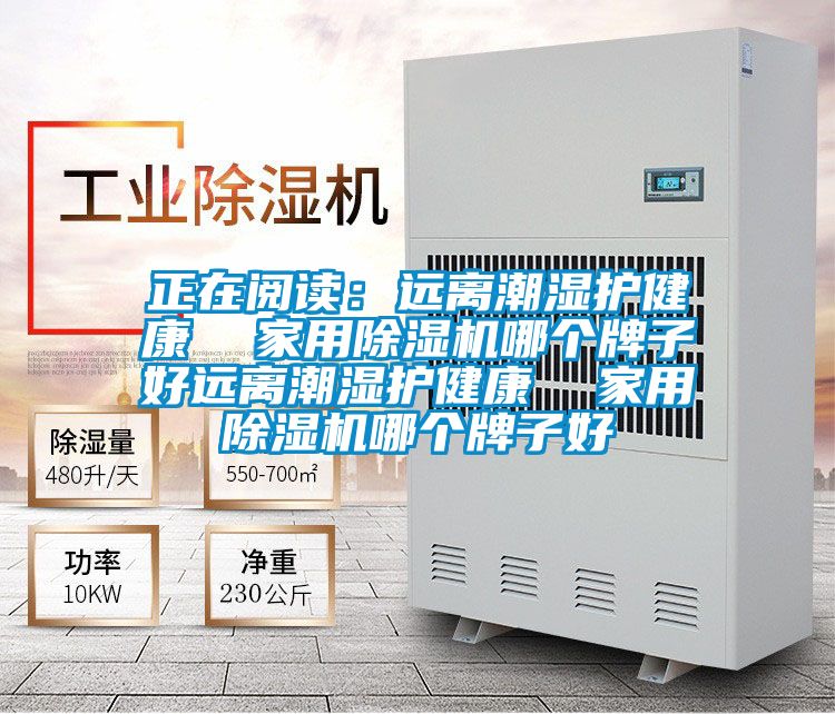 正在阅读：远离潮湿护健康  家用麻豆视频黄网站哪个牌子好远离潮湿护健康  家用麻豆视频黄网站哪个牌子好