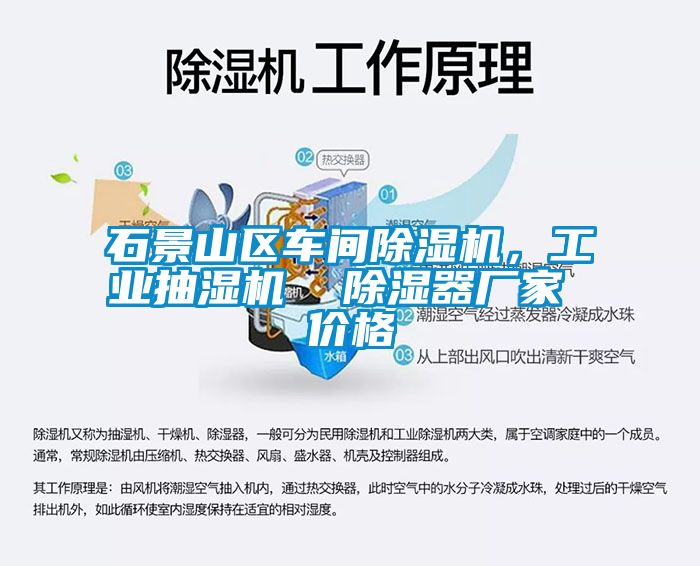 石景山区车间麻豆视频黄网站，工业抽湿机  除湿器厂家 价格