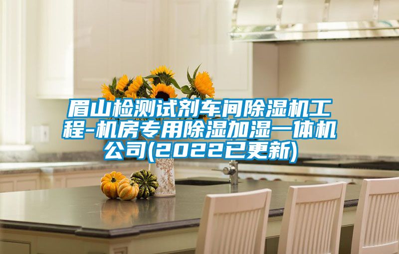 眉山检测试剂车间麻豆视频黄网站工程-机房专用除湿加湿一体机公司(2022已更新)