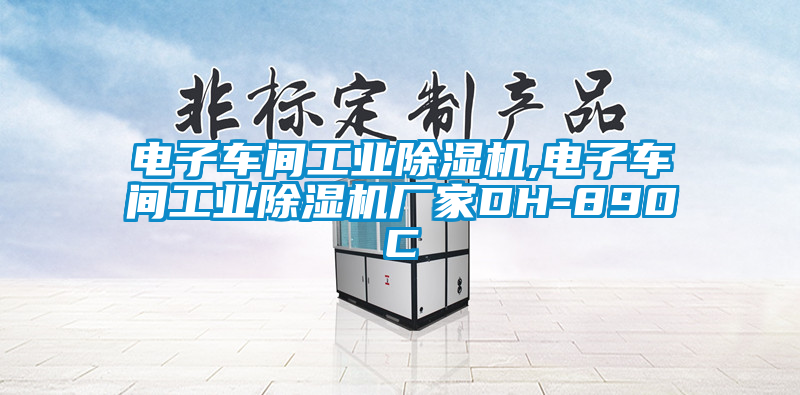 电子车间工业麻豆视频黄网站,电子车间工业麻豆视频黄网站厂家DH-890C