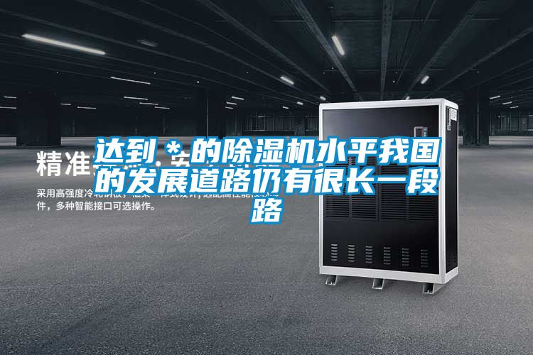 达到＊的麻豆视频黄网站水平我国的发展道路仍有很长一段路