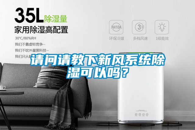 请问请教下新风系统除湿可以吗？